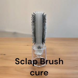 Scalp Brush  cure White